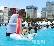 [포토]"댕댕이와 시원한 여름 보내세요!"