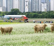 "연 매출 50억 농촌창업 비결은?"…농촌융복합산업 우수사례 경진대회