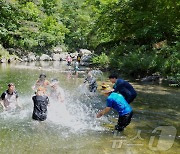 계곡에서 더위 식히는 피서객들