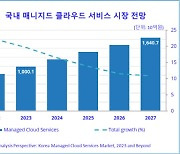 [AI시대, 가치 네트워크에 주목하라] 똑똑하게 써야하니까… 기업에 기술 담는 `MSP`