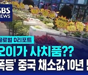 [글로벌D리포트] "오이가 사치품"…중국 채소값 10년 만에 '최고'