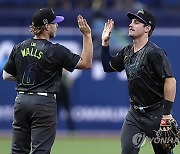 Diamondbacks Rays Baseball