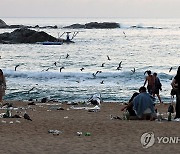 솔선수범이 아쉬운 백사장