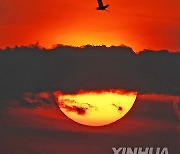 XINHUA PHOTOS OF THE DAY