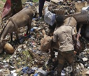 Mali Garbage Collection