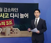 4개월 감소하던 전세보증사고 다시 늘어...누적 3조 원 '훌쩍' [앵커리포트]