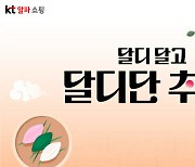 KT알파쇼핑, '달디단 추석' 기획전…쇼핑 지원금 마련