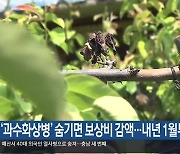 ‘과수화상병’ 숨기면 보상비 감액…내년 1월부터