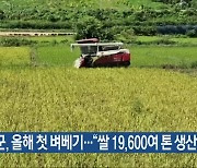 음성군, 올해 첫 벼베기…“쌀 19,600여 톤 생산”