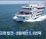 하루에 두 번 고래 발견…8월에만 5, 6번째