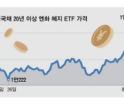 개미들 '엔화노출 美국채ETF' 드디어 판다