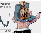 美금리 인하기대에 '약달러'…원화값 23원 쑥