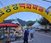 태백시 상장벽화마을축제…갈등 논란