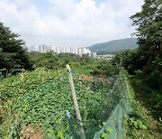 [단독] 서초구도 그린벨트 해제 추진···집단취락 16곳 첫 전수 조사