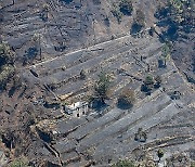 PORTUGAL MADEIRA FIRE