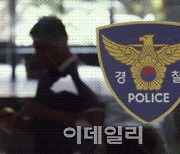 60대 대리기사 테슬라 몰다 돌진 사고…“급발진” 주장