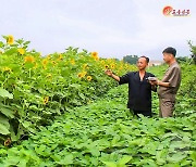 北 함경북도당위원회 "원료기지 농사실태 현지 조사"