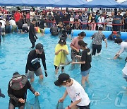 서산 삼길포우럭축제 24~25일 삼길포항서 열려