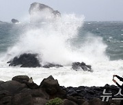 태풍 종다리 북진…부산도 해안·시설물 점검 '긴장'(종합)