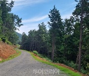 하동군, .걷기운동 수요 발맞춰 '걷기 좋은 길' 발굴·조성