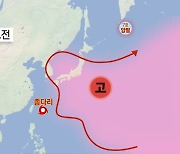 5∼8호는 줄줄이 일본행...종다리는 뭐가 다를까?