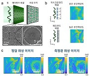 KAIST 연구진, 신개념 빛 측정 센서 개발…"초기 질병 진단 등 적용"