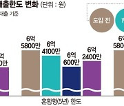 연봉 1억 수도권 주담대 5600만원 깎인다 [수도권 주담대 한도 축소 왜]