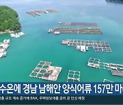 [간추린 경남] 고수온에 경남 남해안 양식어류 157만 마리 폐사 외