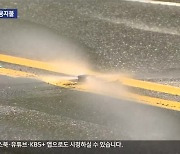 [현장K] 70억 들인 춘천 ‘클린로드’…폭염에도 ‘낮잠’