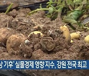 ‘이상 기후’ 실물경제 영향 지수, 강원 전국 최고