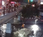 부산 동부 호우주의보...하천 고립 60대 구조, 가로수 등 긴급안전 조치