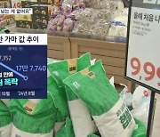 수확기 코앞인데…쌀 한 가마값 10개월 만에 4만 원 '뚝'