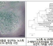 ‘비 냄새’ 유발하는 토양 미생물 발견…특허 출원