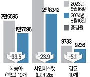 '金사과' 이제 끝나나···안정세 찾은 과일값