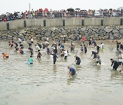 [서산24시] 서산시, 인기 가수 박서진 등 초청 삼길포우럭축제 개최