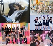 지코·세븐틴·(여자)아이들·아이브·르세라핌, '2024 케이 월드 드림 어워즈' 베스트 음원상