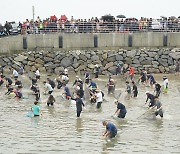 서산 삼길포서 24∼25일 우럭축제…체험행사도 다채