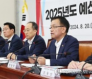 예산안 관련 당·정협의회서 발언하는 최상목 경제부총리