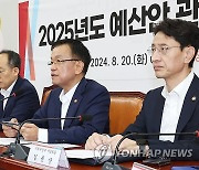 예산안 관련 당·정협의회서 발언하는 최상목 경제부총리