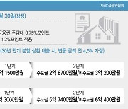 금융당국, 주담대 '핀셋 규제'…집값 상승 견인 수도권 집중 타깃