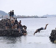 목숨 건 '다이빙 인생샷' 유행…제주 바다서 올해만 2명 숨져