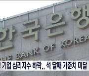 8월 기업 심리지수 하락.. 석 달째 기준치 미달