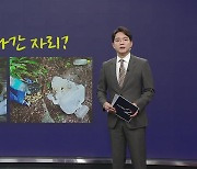 계곡 '문신 일행'의 꼴사나운 피서 [앵커리포트]