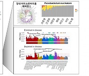 세계 최초 '인체 질병 연관 미생물 지도' 나왔다