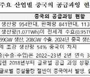 "中, 전기차·배터리도 공급과잉… 수출 영향 주시해야"