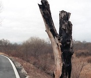 [기억할 오늘]  휴전 이후 최악의 물리적 충돌