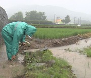 태풍 '종다리' 약화..광주·전남 오늘까지 100mm 비