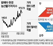 폭염에 채소값 비상…파프리카 한달새 2.6배↑