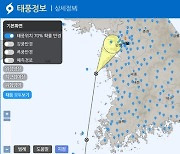 태풍 ‘종다리’ 맞은 부산…강풍으로 나무 2그루 쓰러져