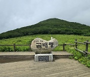 원주 소금산 출렁다리·인제 곰배령을 가다